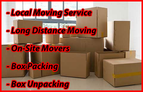 Packers And Movers Noida Sector 58